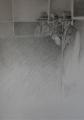 MUSICIENS-ETOILES-I